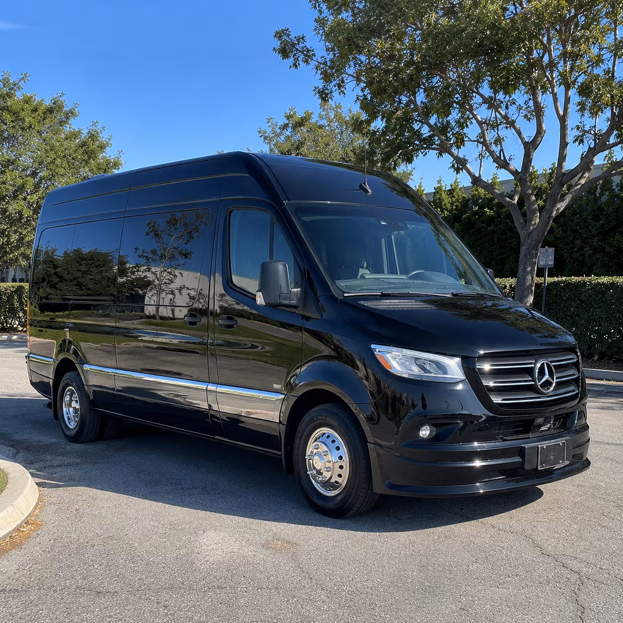 Richardson School Event Transportation party bus exterior