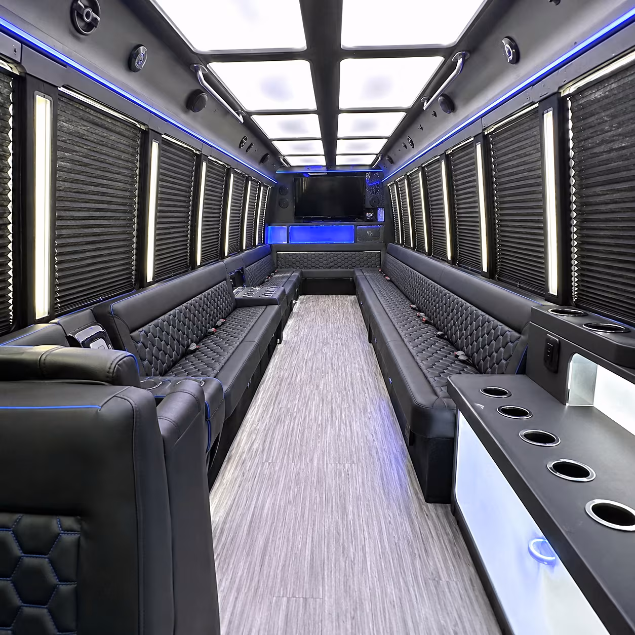 Richardson Wedding Transportation party bus interior