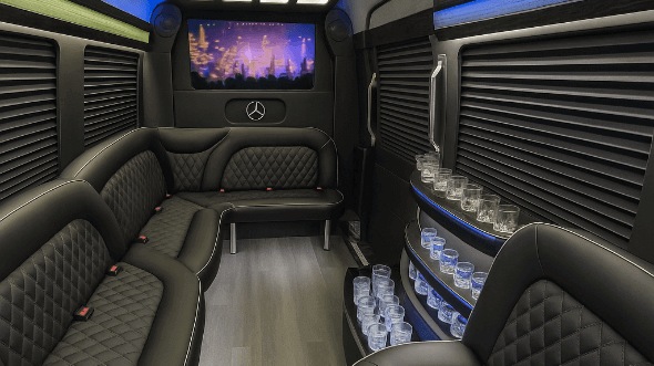 richardson 14 passenger sprinter limousine interior